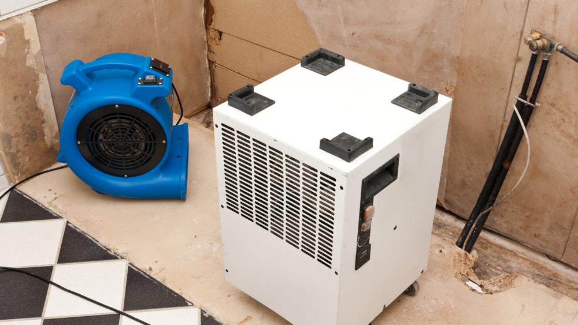 Water Damage Cleanup