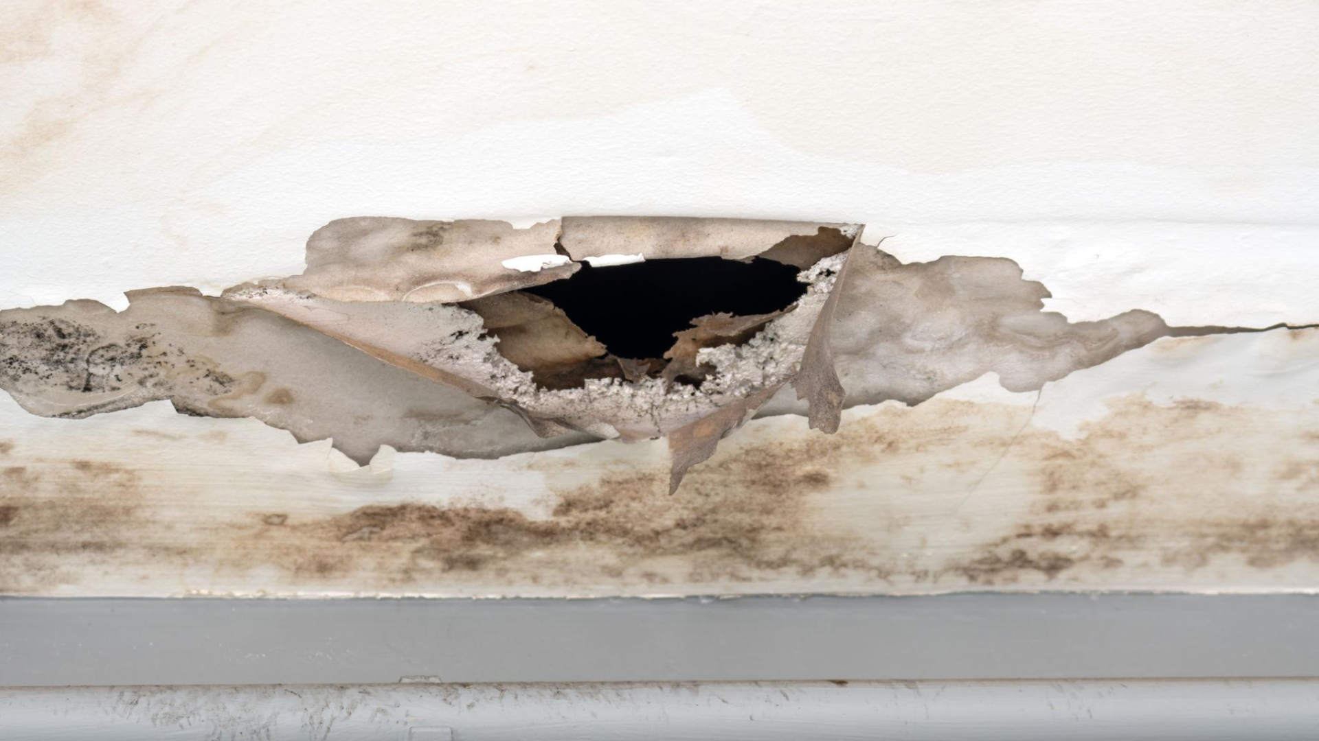 Roof Leak Water Damage Repair