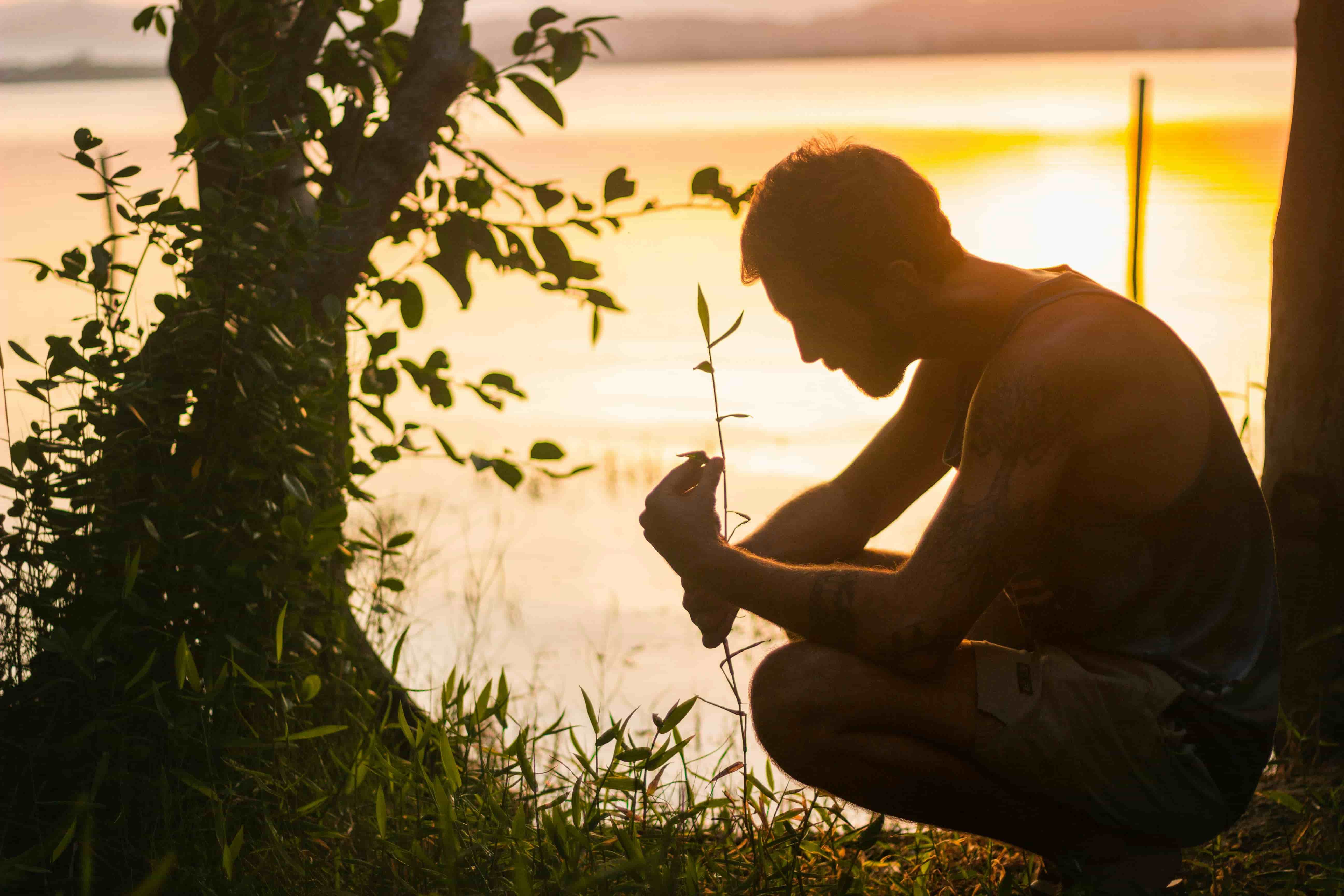 Person meditating with a blade of Grass. Loving interconnectedness