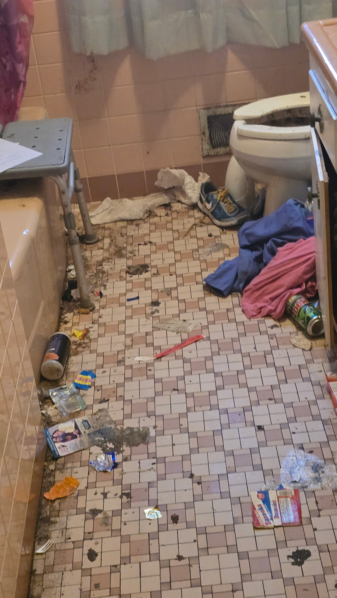 Cleaning job before — bathroom, Milwaukee WI