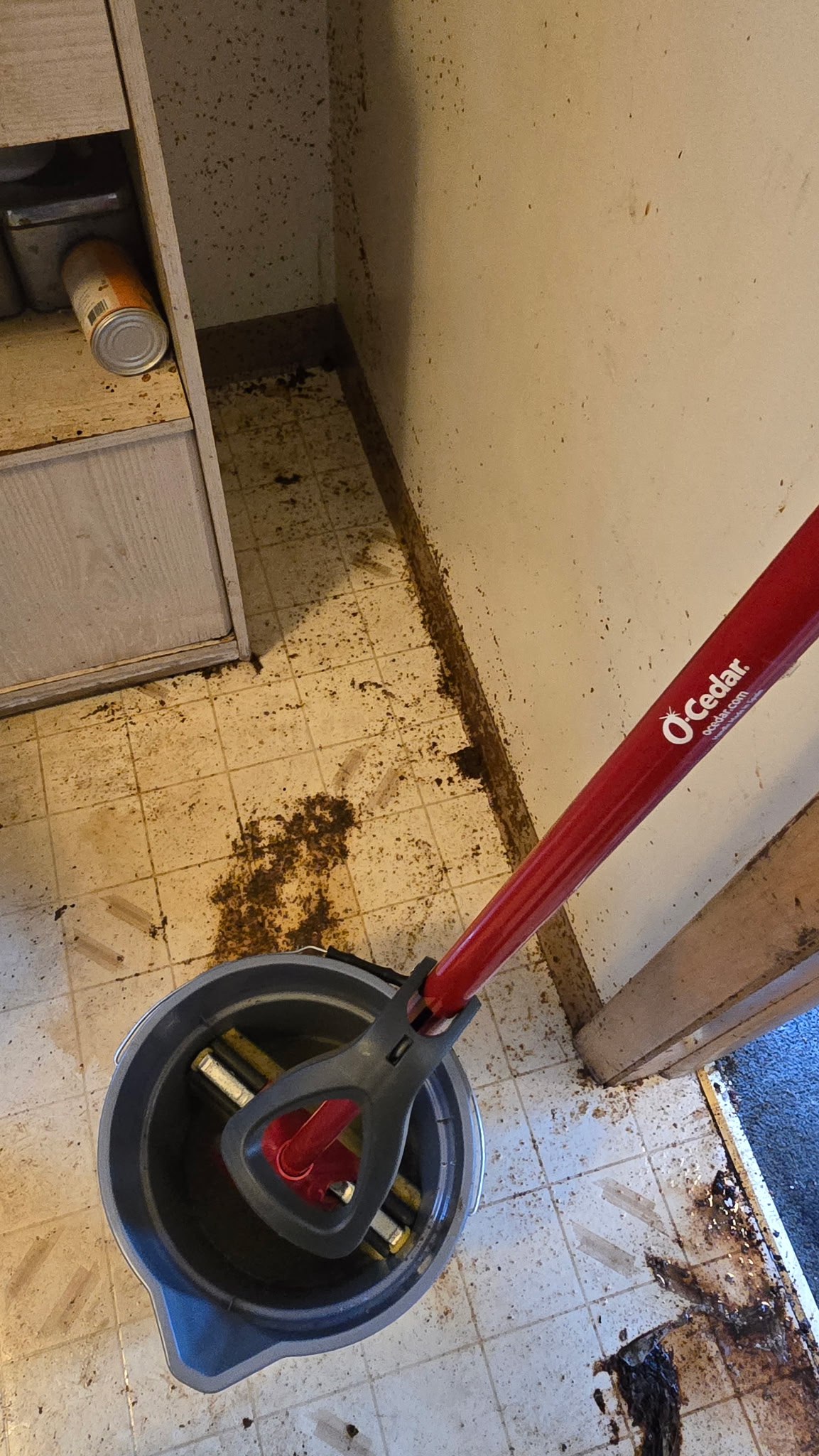 Cleaning job before — hoarding kitchen, Milwaukee WI