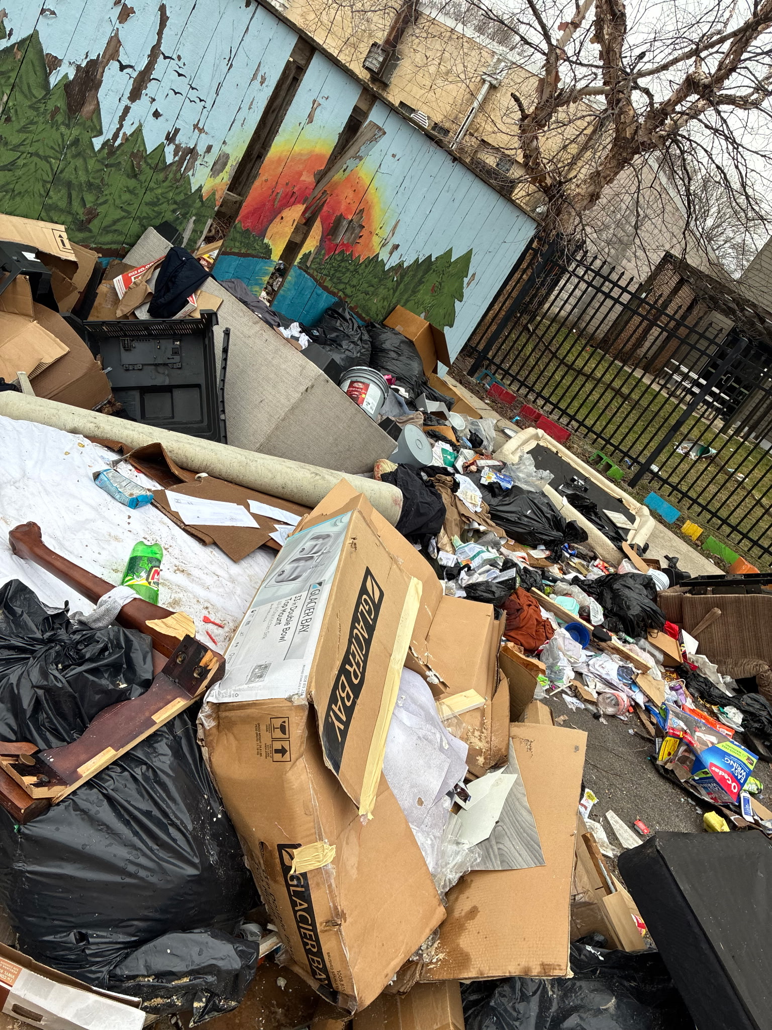 Cleaning job before — outdoor junk clearance, Milwaukee WI