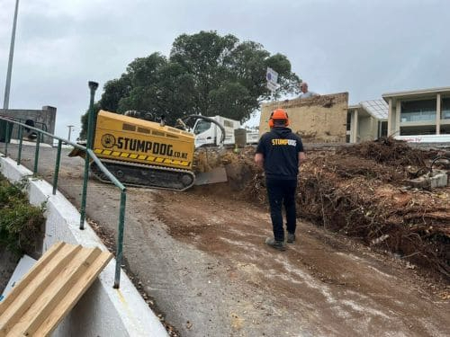 Retaining wall construction progress on a sloped West Auckland section