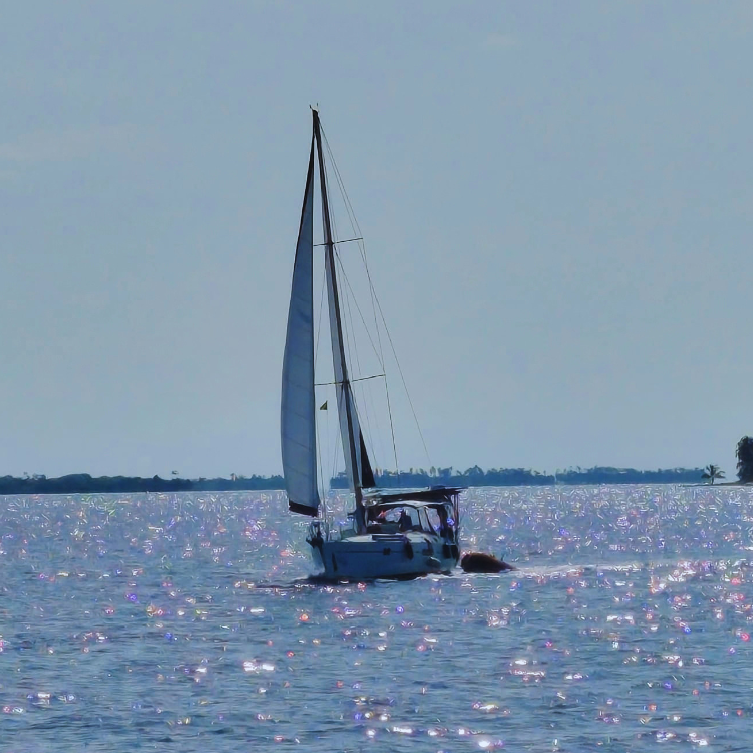 Day Sailing