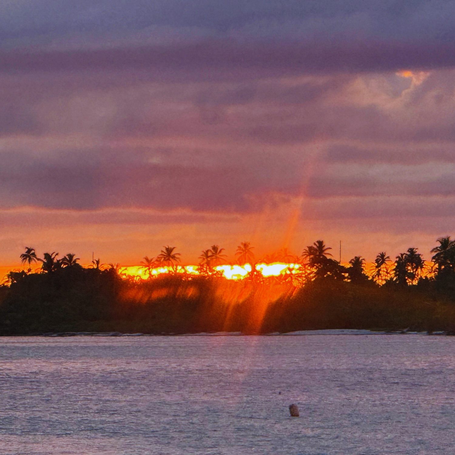 Living closer to the ocean