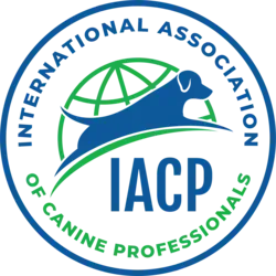 IACP