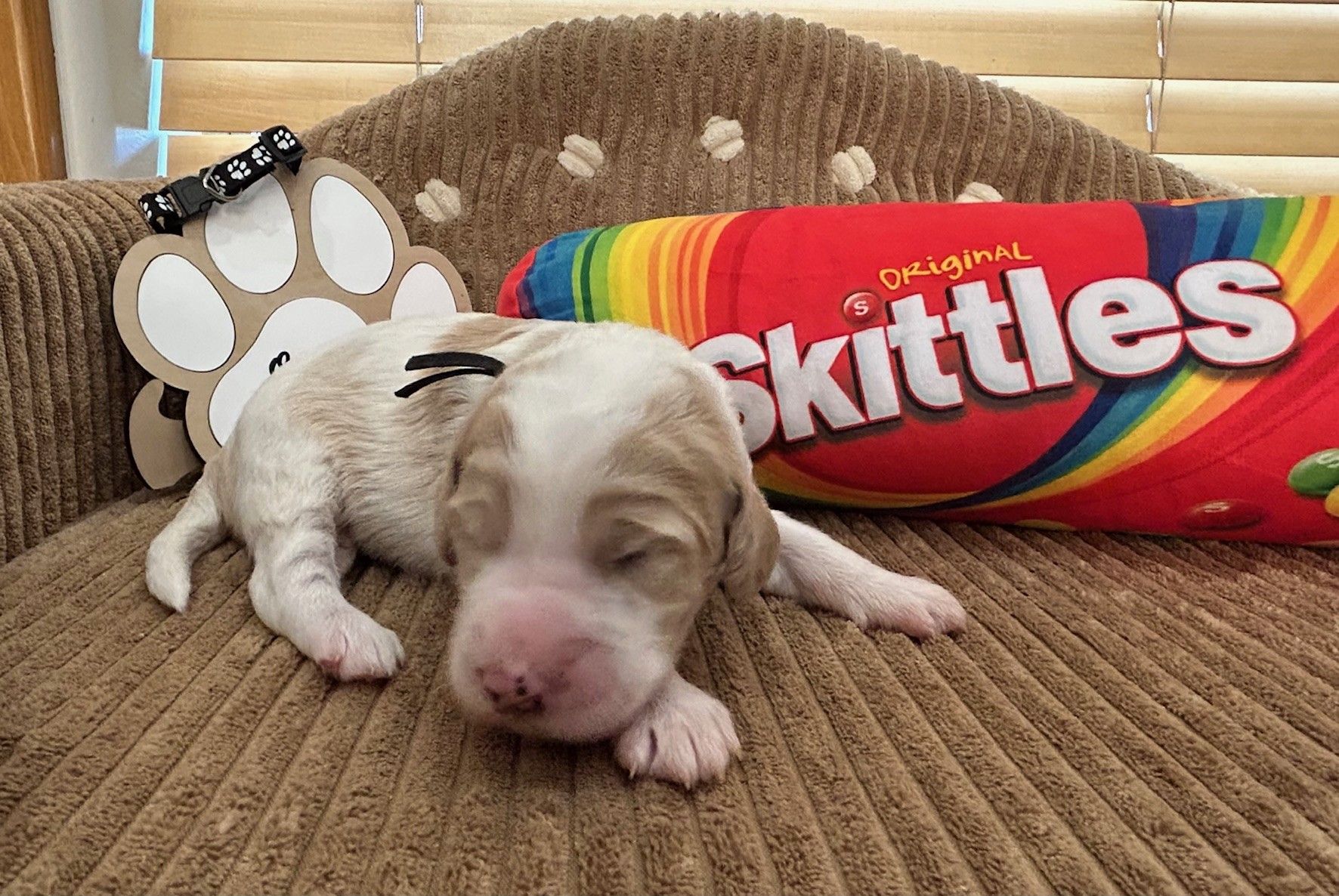 Skittles