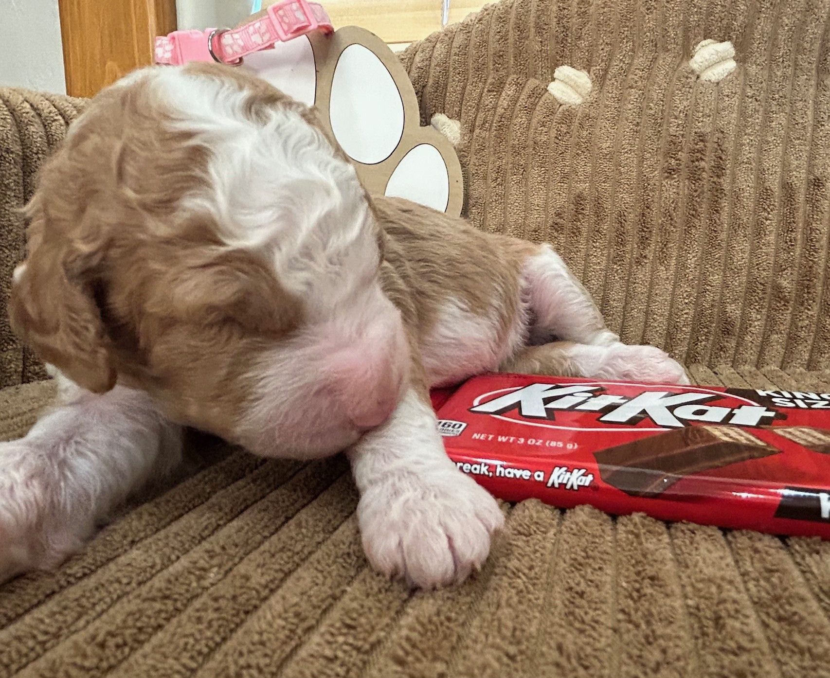 Kit Kat