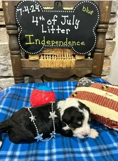 Independence