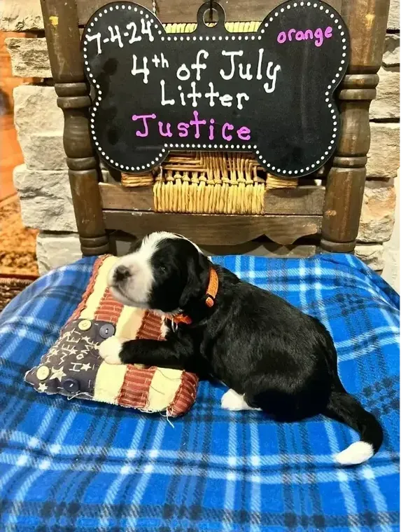 Justice