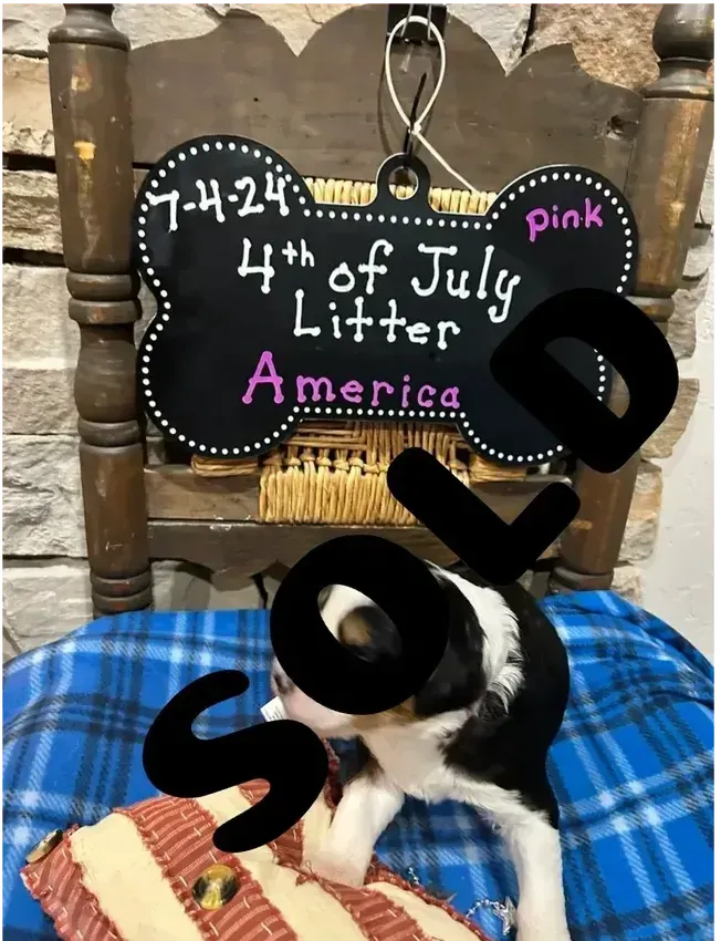 America