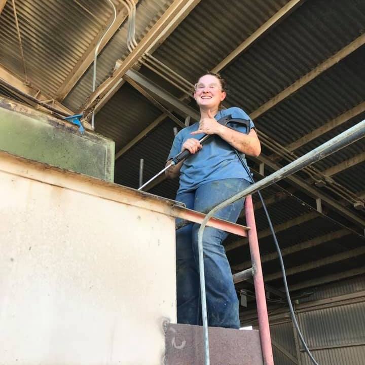 Stevenson Solutions: Operational Consulting & Marketing Systems for Dog Trainers and Blue-Collar Businesses