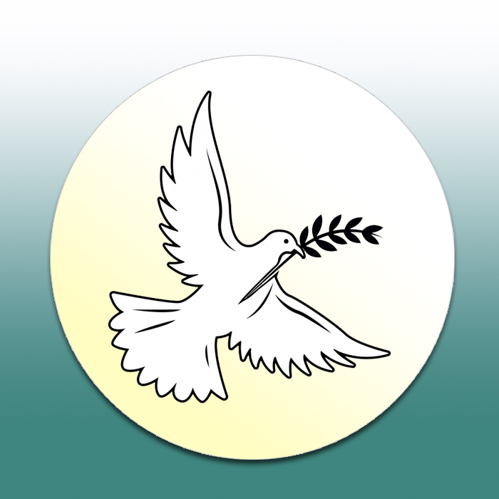 my-affordable-burial-coverage