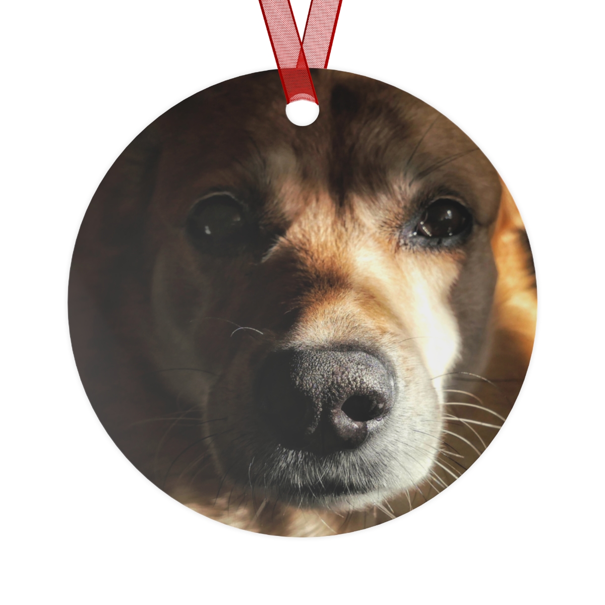 Front of the round ornament