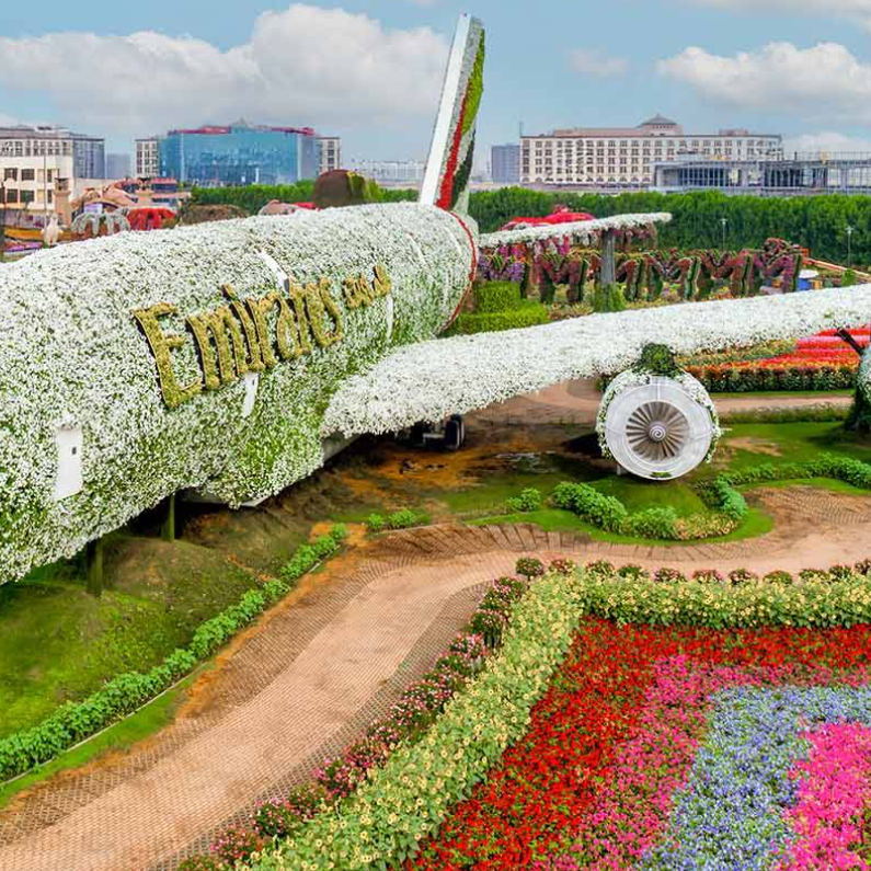 Dubai Miracle Garden colorful floral displays