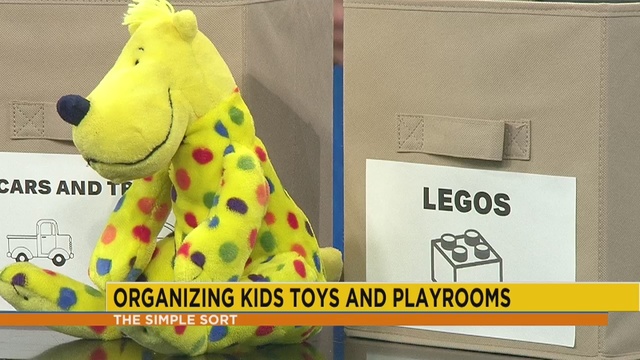 The Simple Sort team offering guidance on organizing kids' toys, featuring strategies for categorizing, storing, and maintaining a tidy play area, making it easier for children to find and enjoy their toys