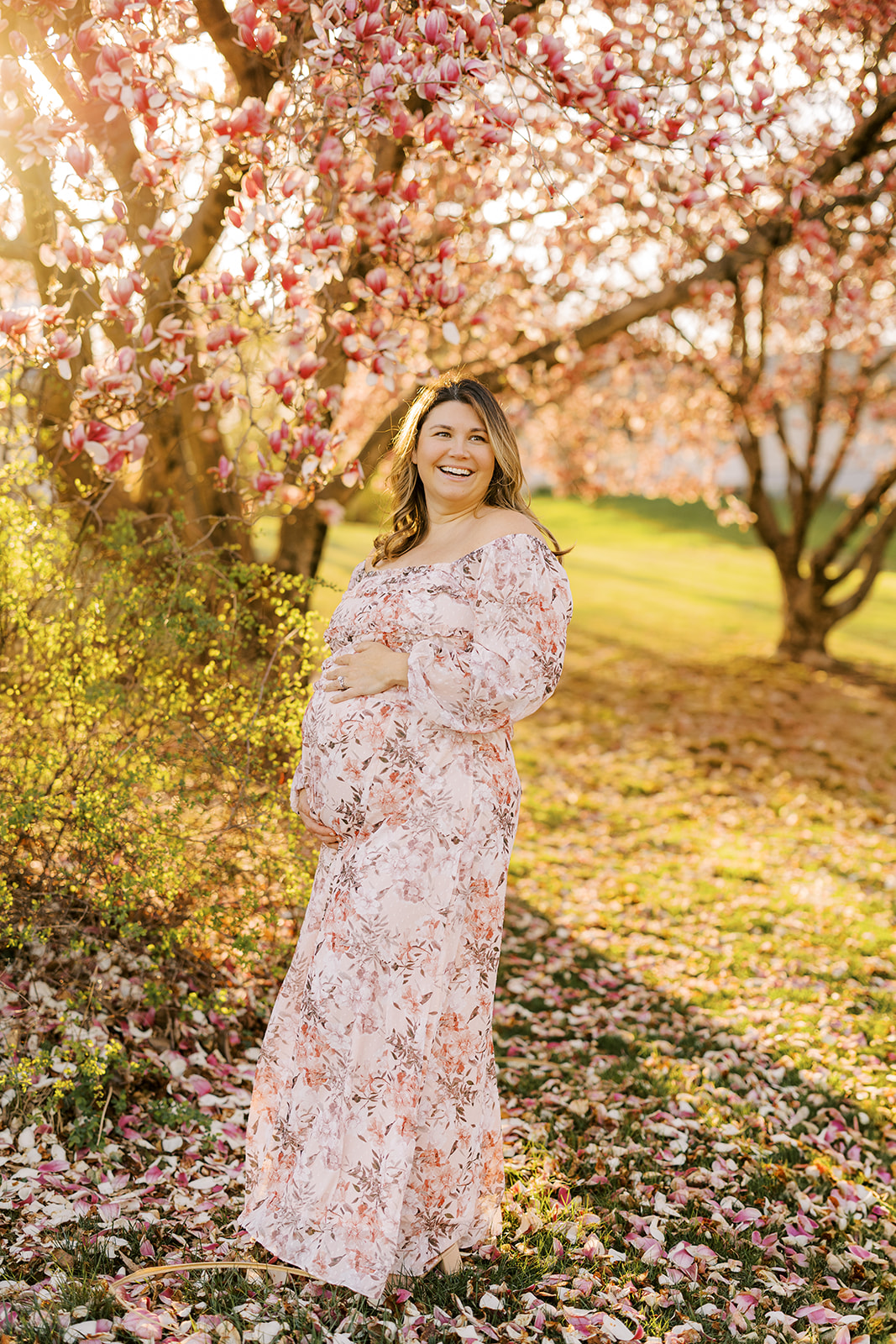 Maternity portrait under magnolia tree at golden hour