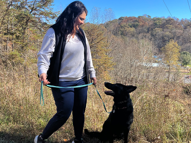 puppy-boarding