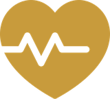 Heart with a pulse trace