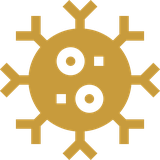 Cell with a nucleus