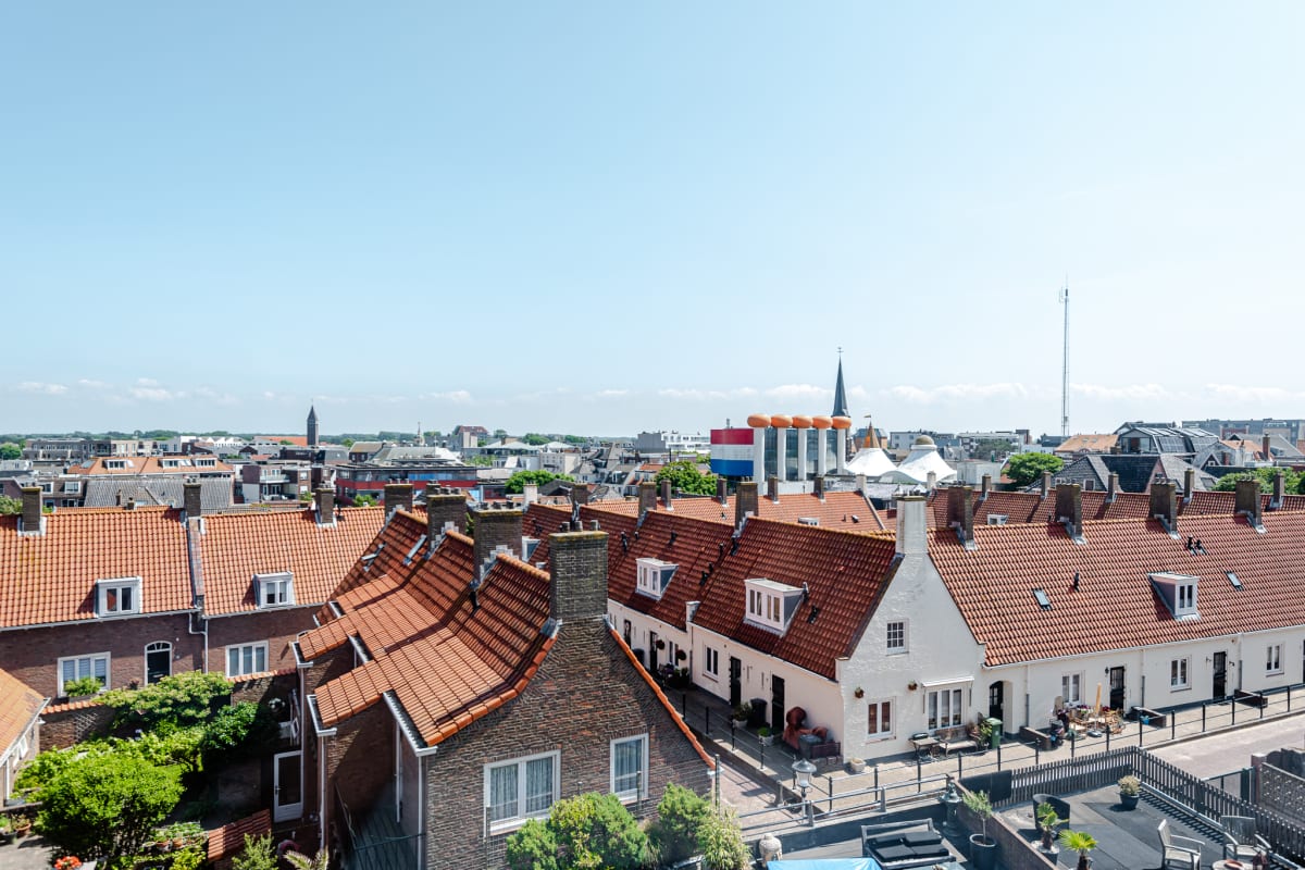 Albatros aan Zee - Studio foto 2