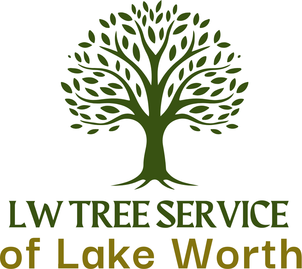 LW Tree Service of Lake Worth logo