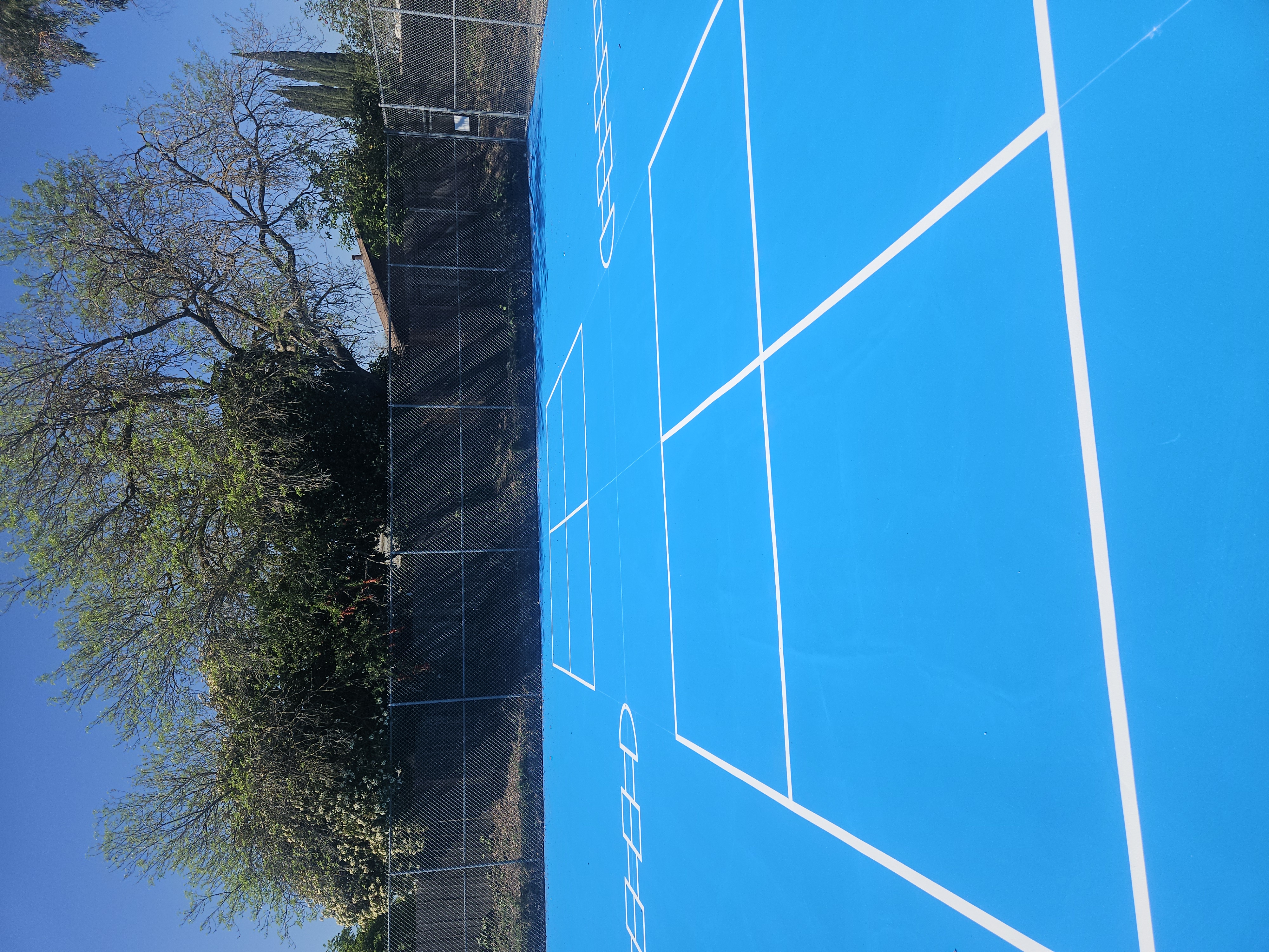 Asphalt Paving