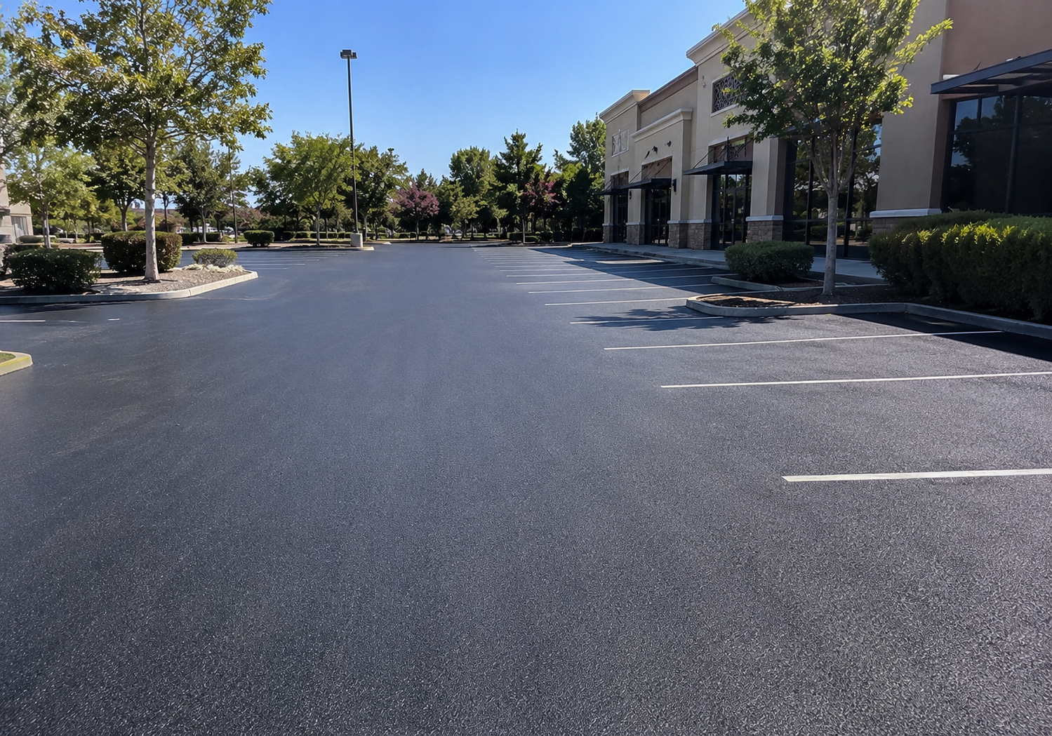 Driveway Paving