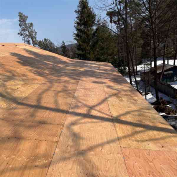 Plywood roof sheathing on a Farwes addition among trees