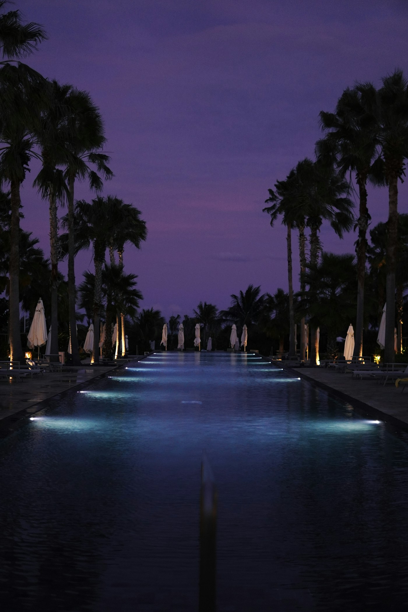 Long lit swimming pool lined with palm trees under a purple night sky