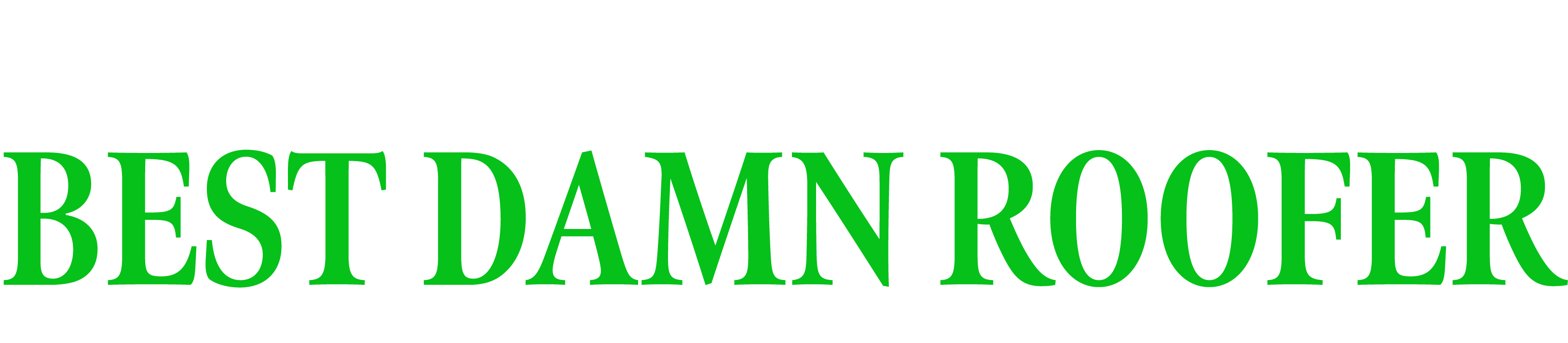 Best Damn Roofer