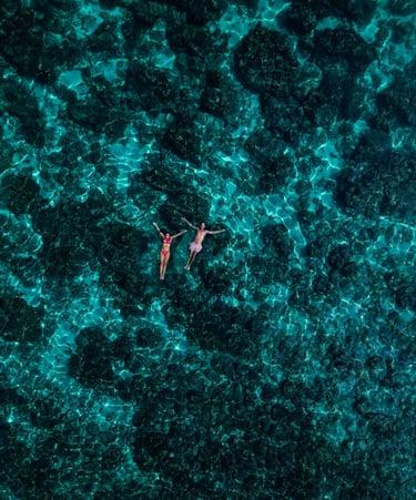 Swimming in Socotra