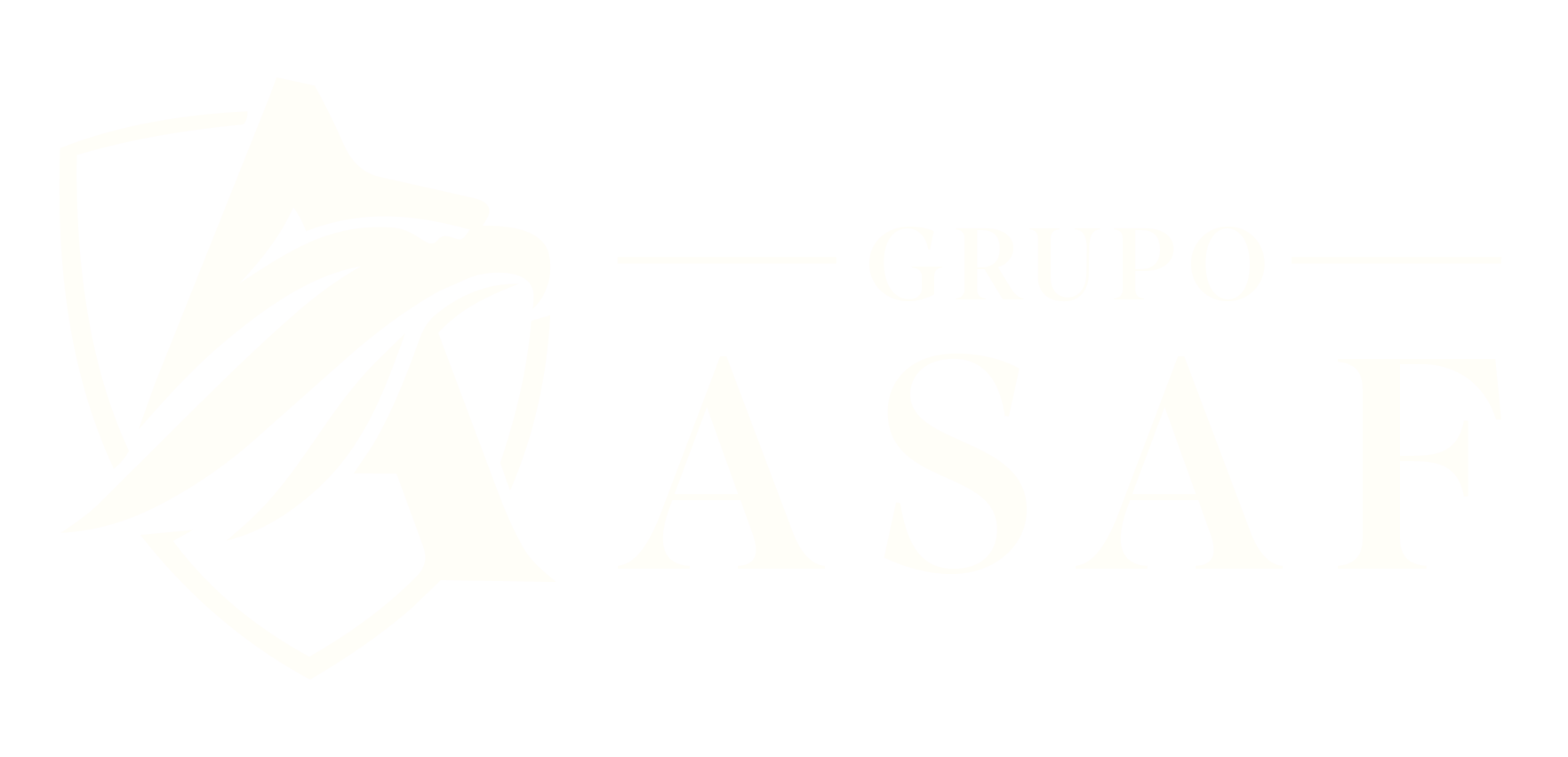 GRUPO ASAF