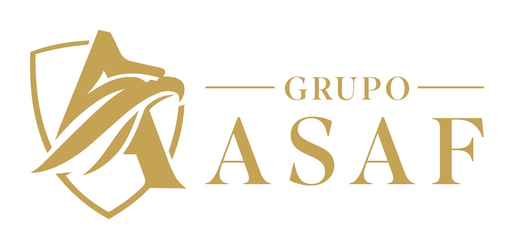 GRUPO ASAF