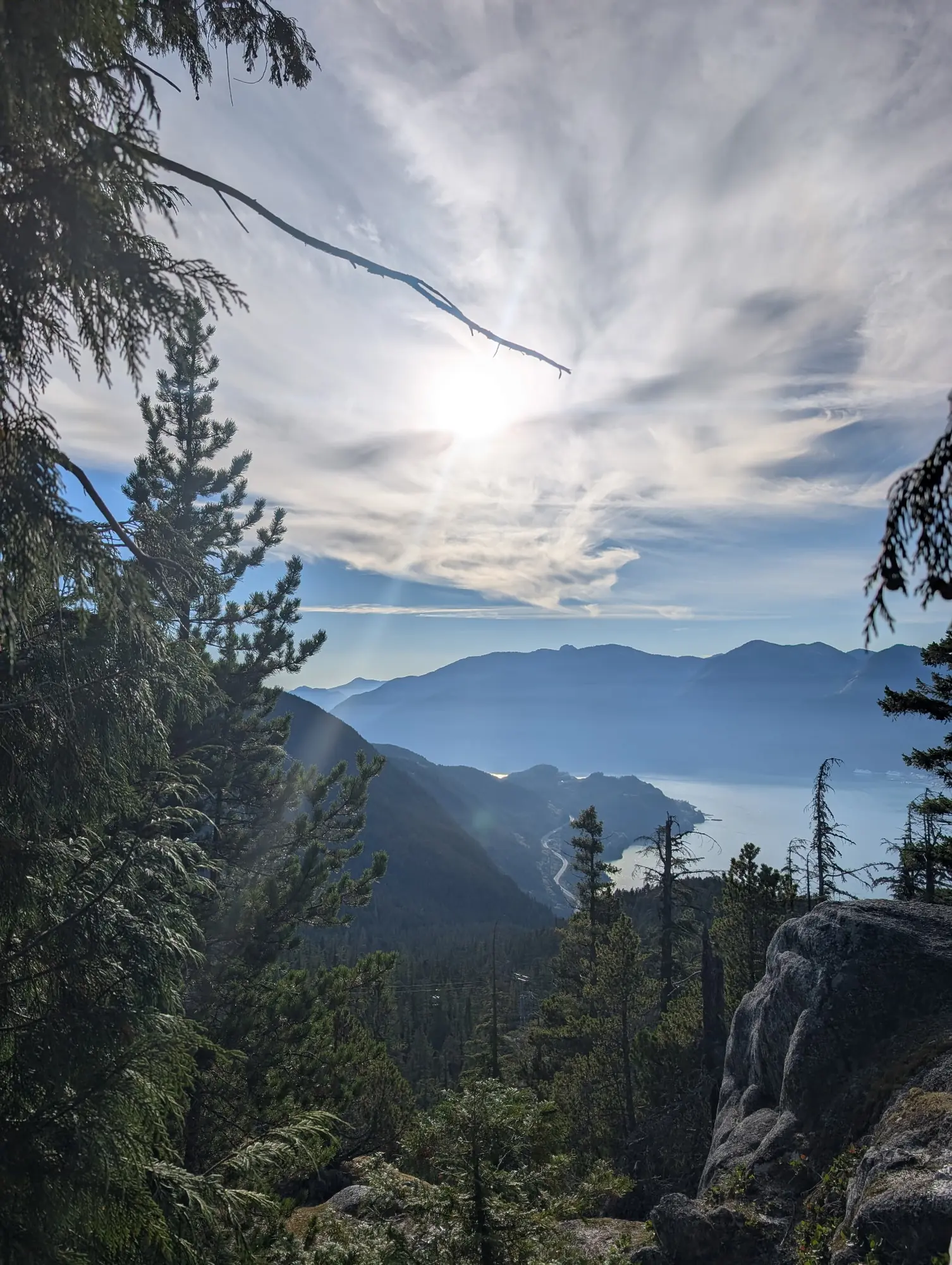 View through evergreen trees over Howe Sound and the coastal mountains of British Columbia on a bright, hazy day