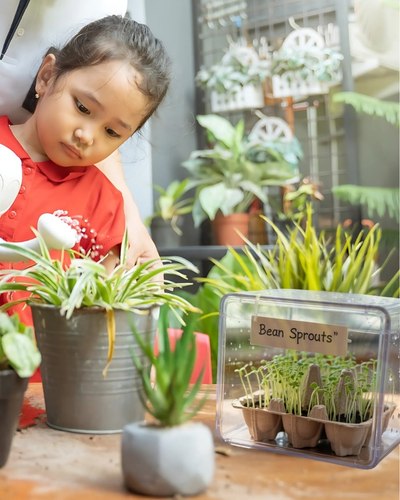 spring stem activities spring stem activities