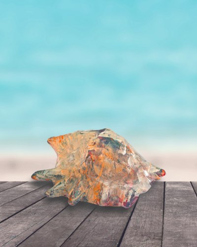 science activities for preschool, seashell