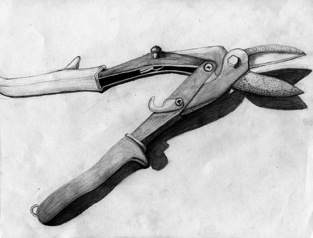 Pencil study of shears
