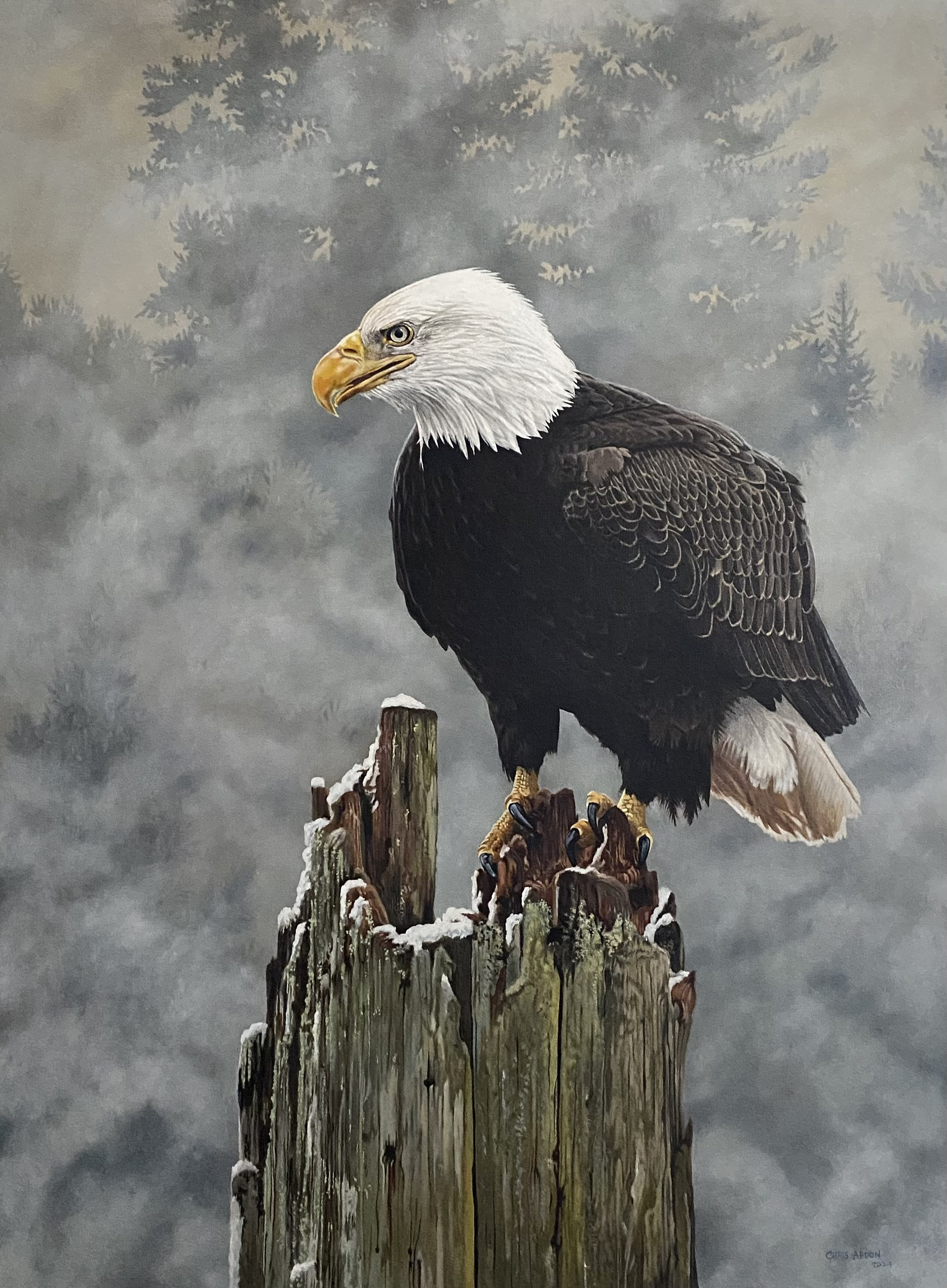 Eagle — Oil on Canvas by Chris Abdon