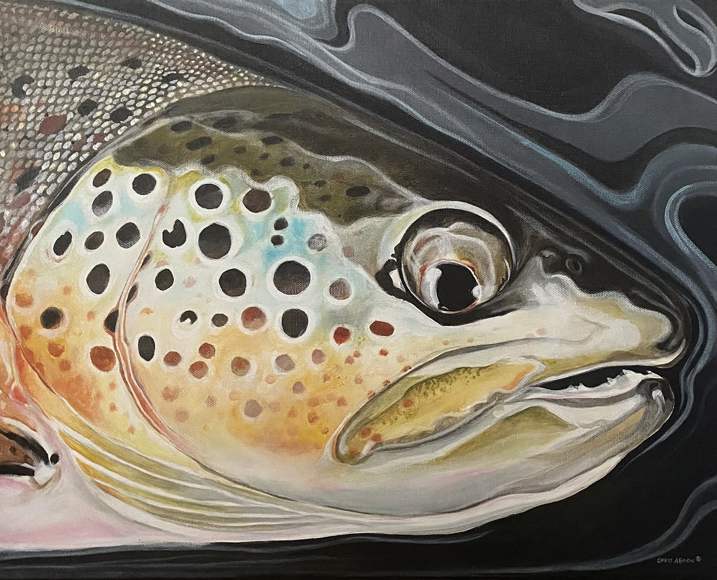 Brown Trout — Acrylic on Canvas by Chris Abdon