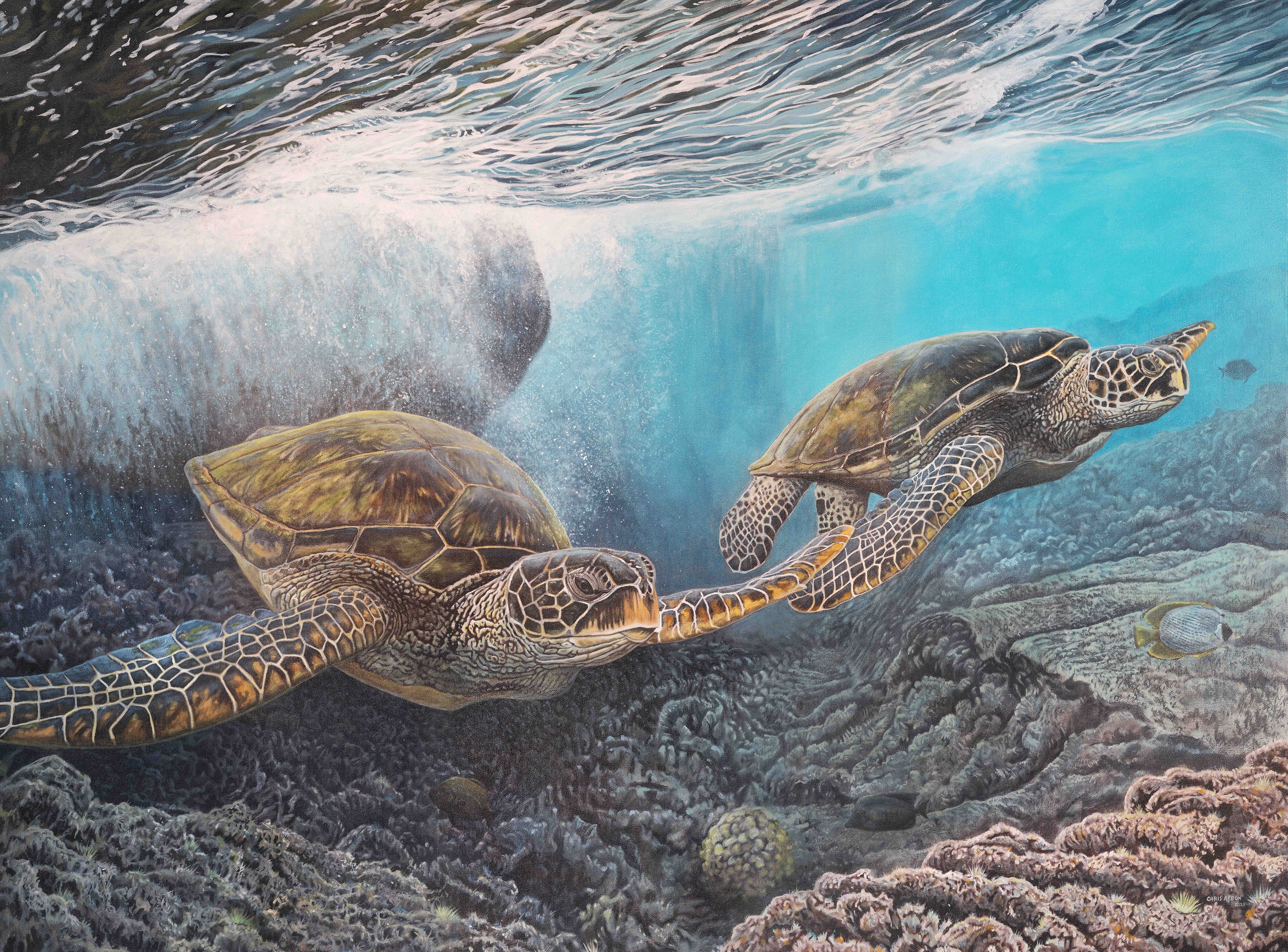 Green Sea Turtles — Oil on Canvas by Chris Abdon