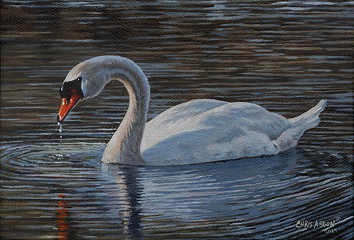 Swan — Oil on Canvas by Chris Abdon