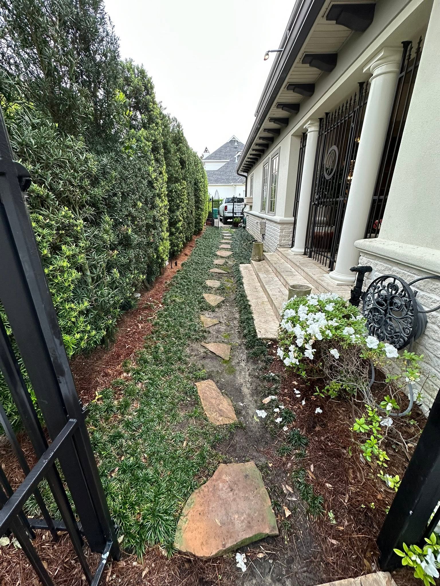 Landscape before renovation