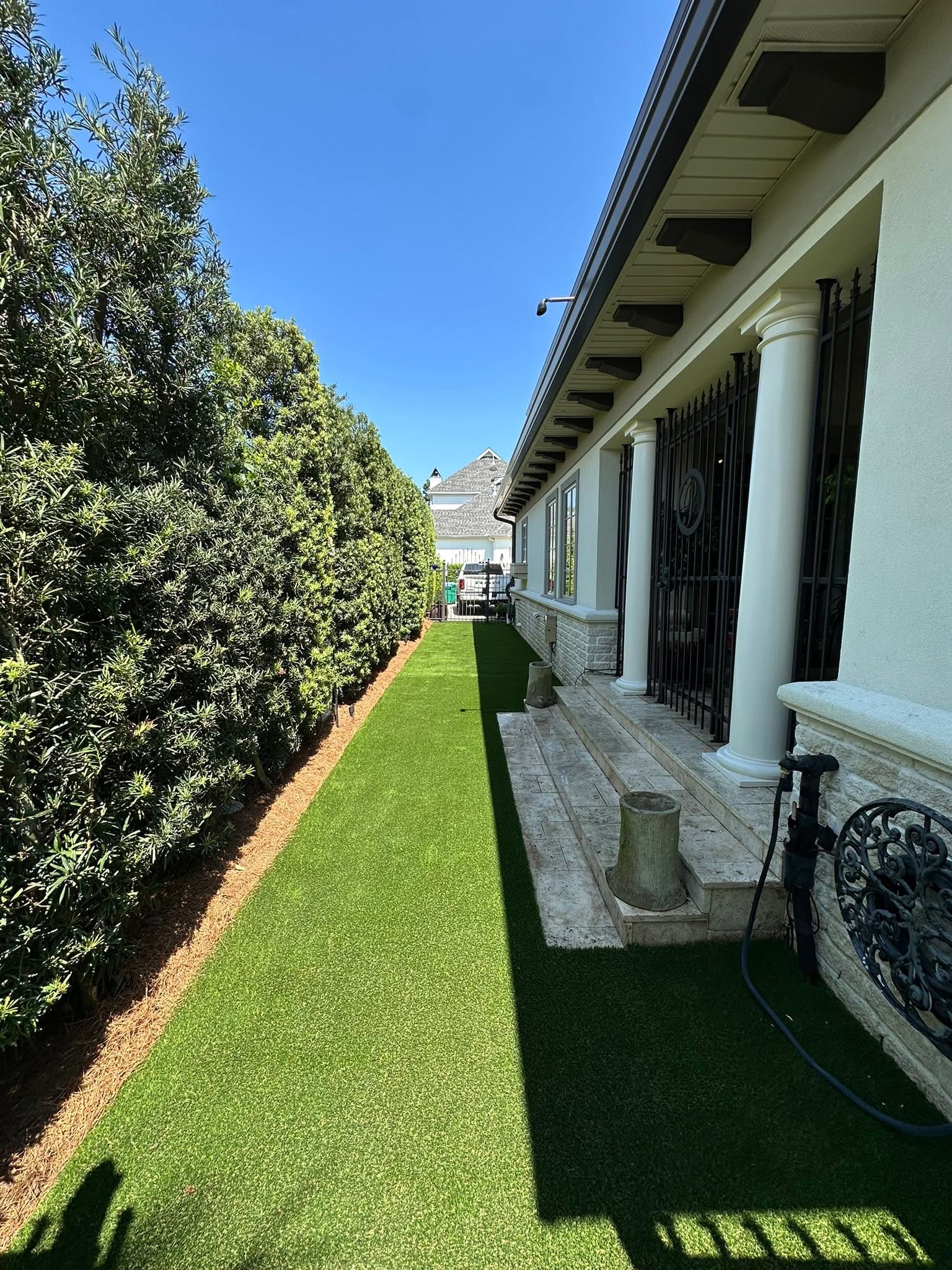 Landscape after renovation