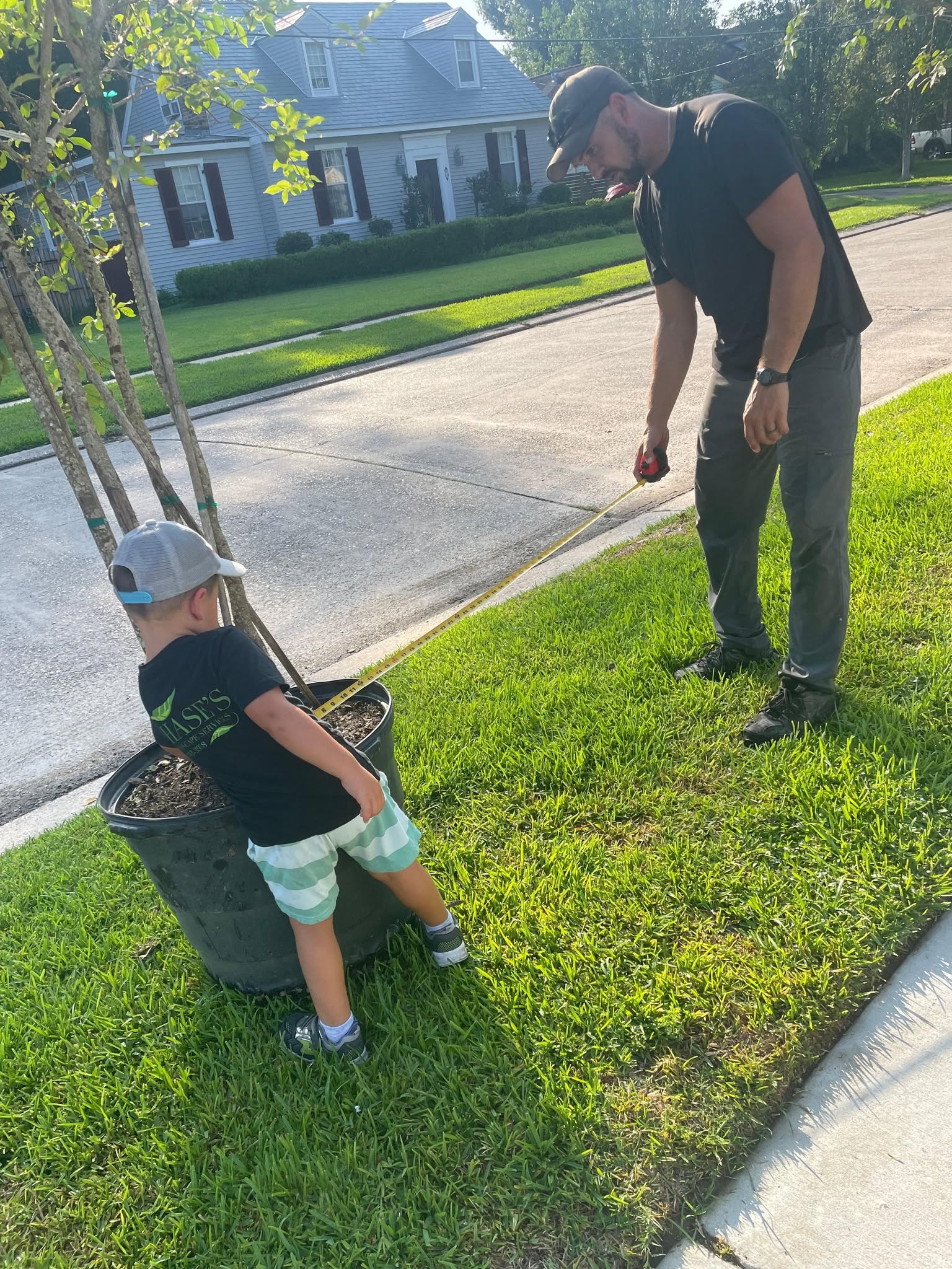 Outdoor landscape improvement