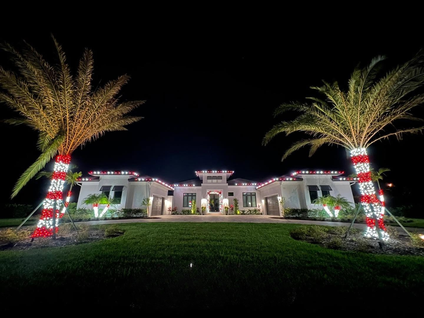 Palm tree decorated with Christmas lights for a festive Florida holiday display