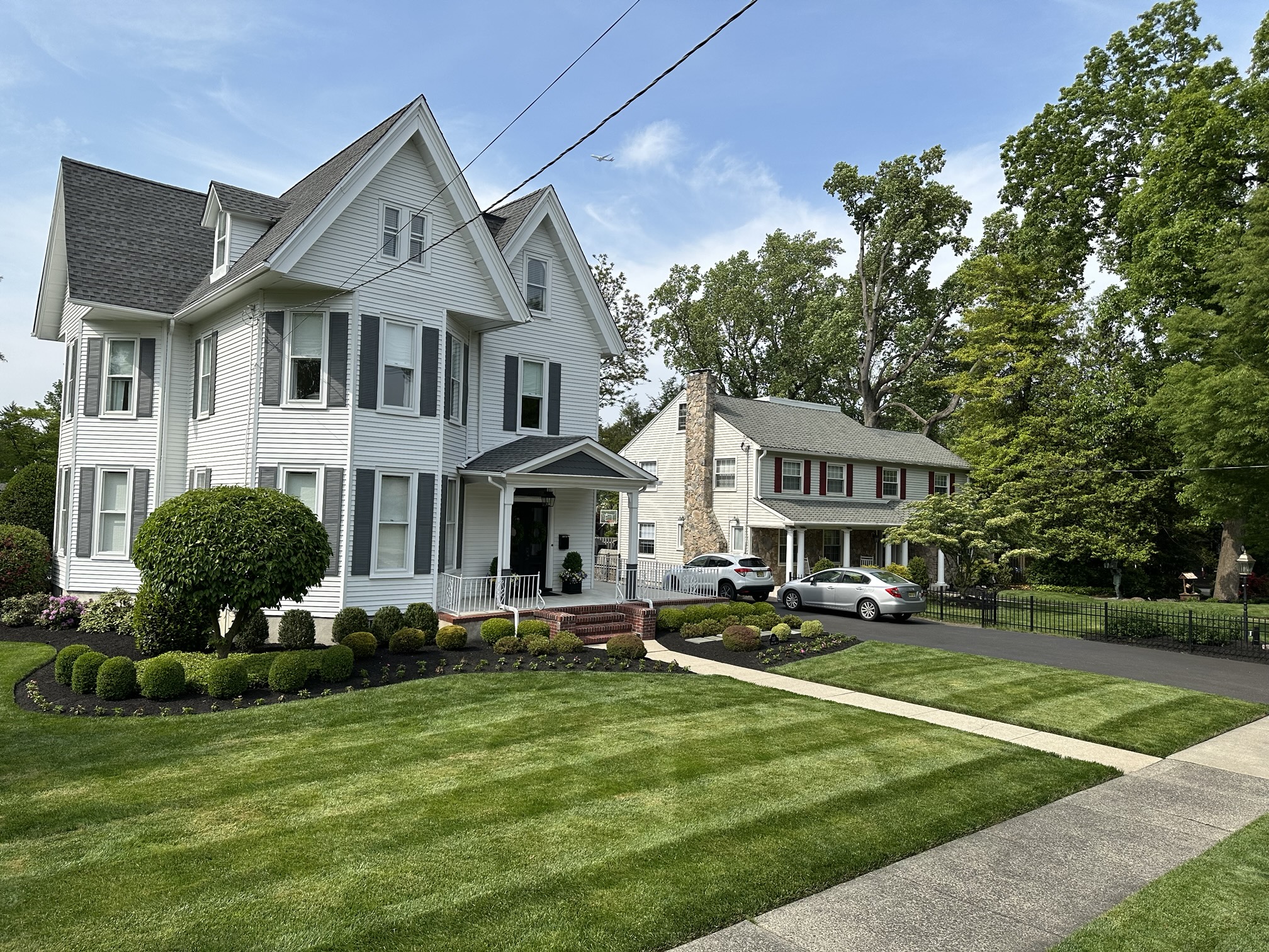 Healthy Lawn