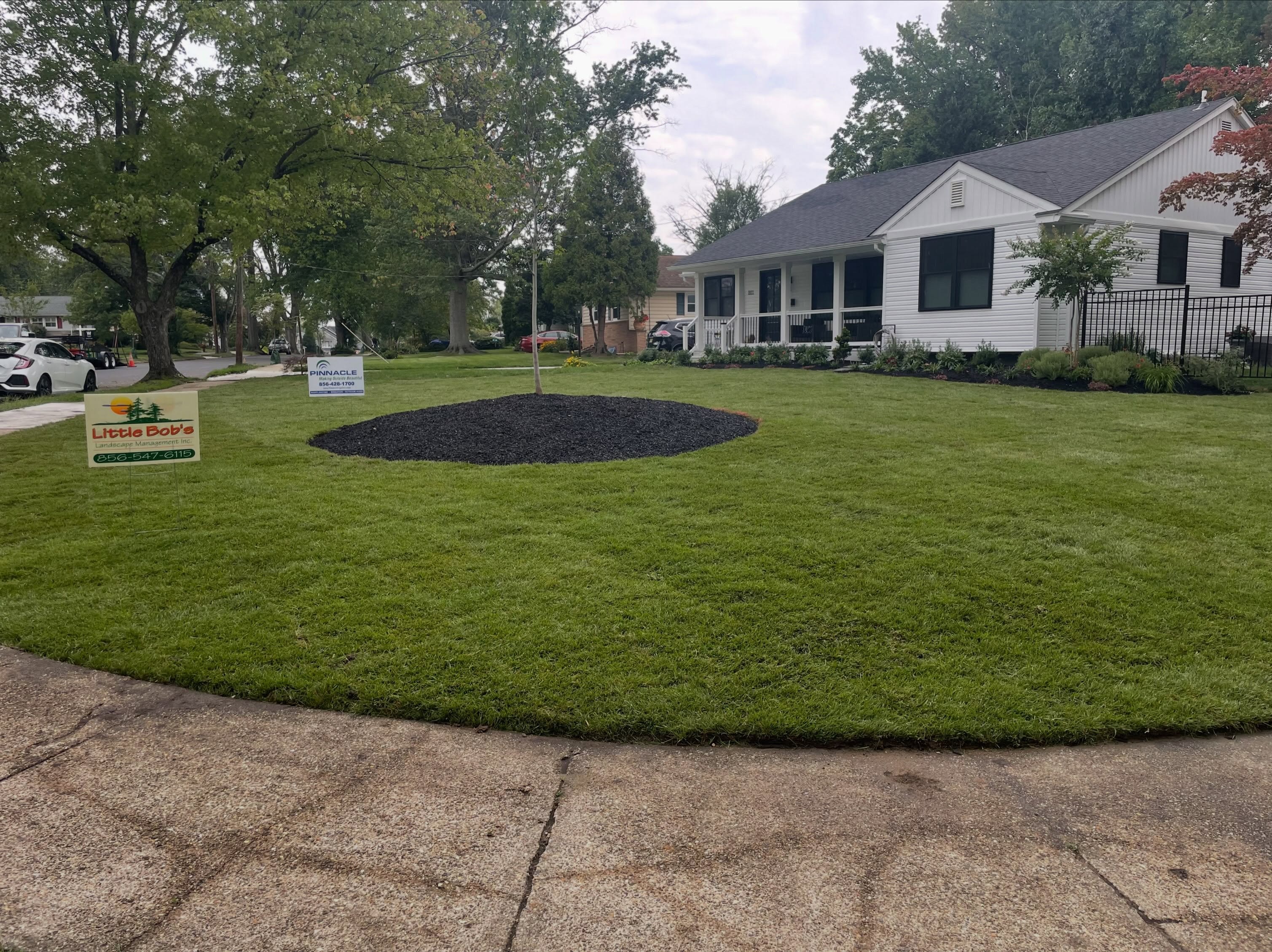 Professional Landscaping Services