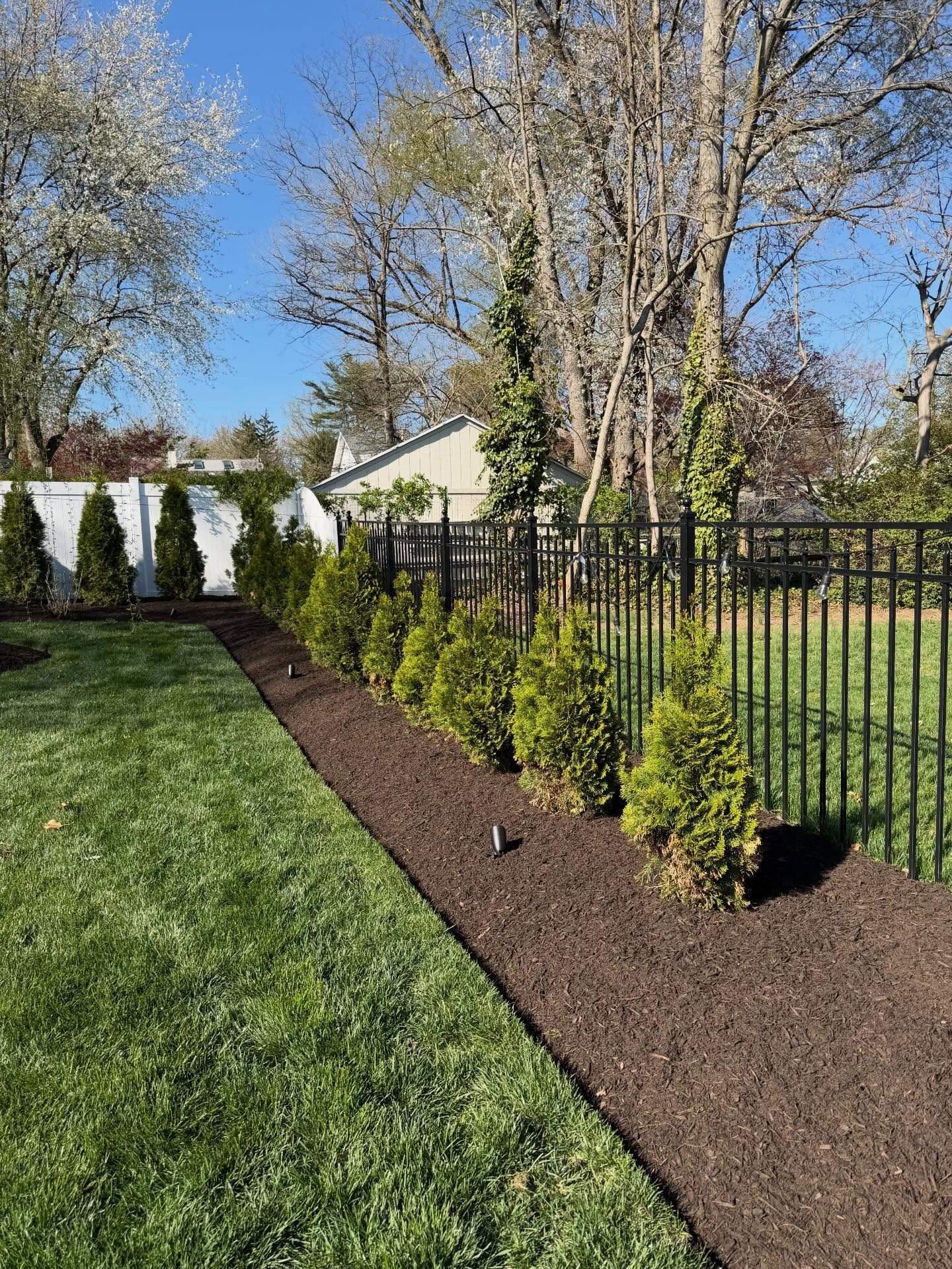 Shrub and Bed Maintenance