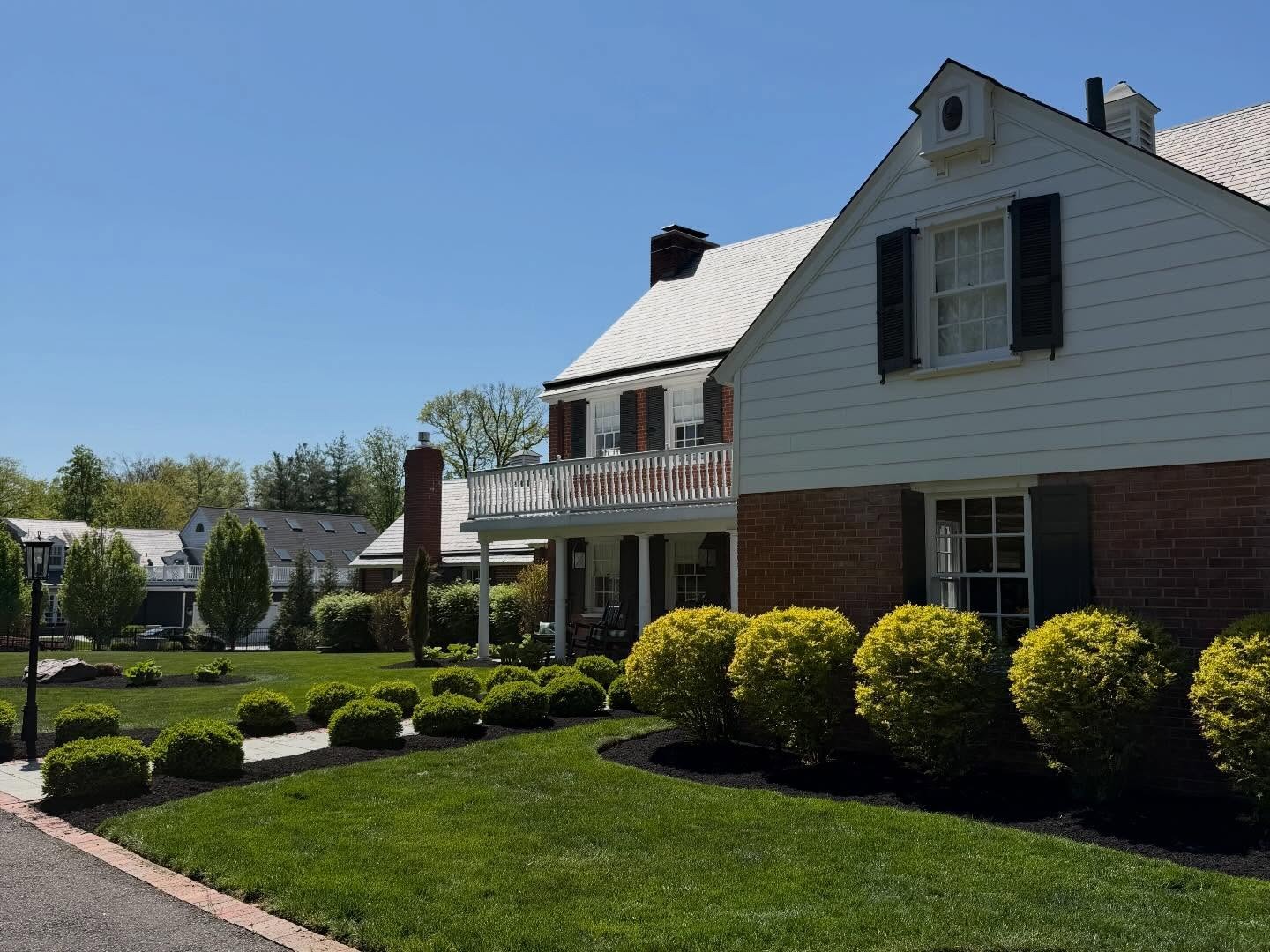 Shrub Pruning Services